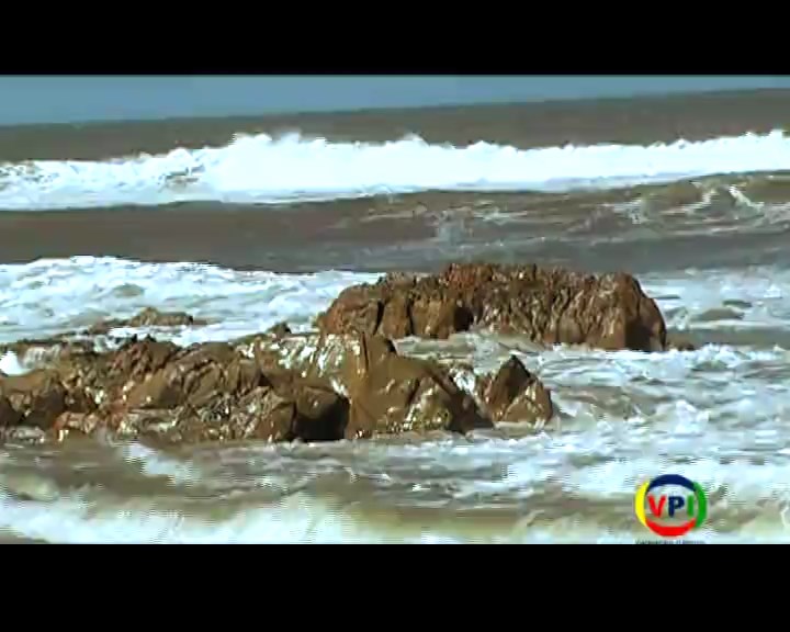 Programa 29 - 03/04/2015